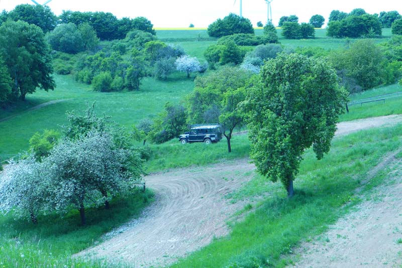 L1010473_9205280366_l