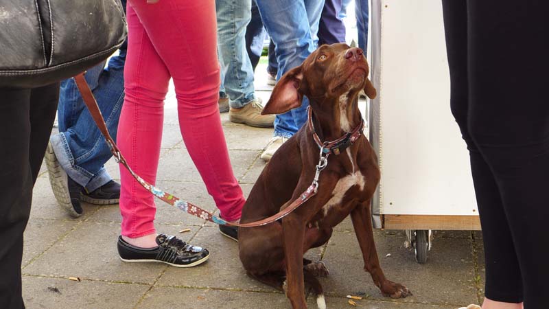 L1010524_9205120510_l